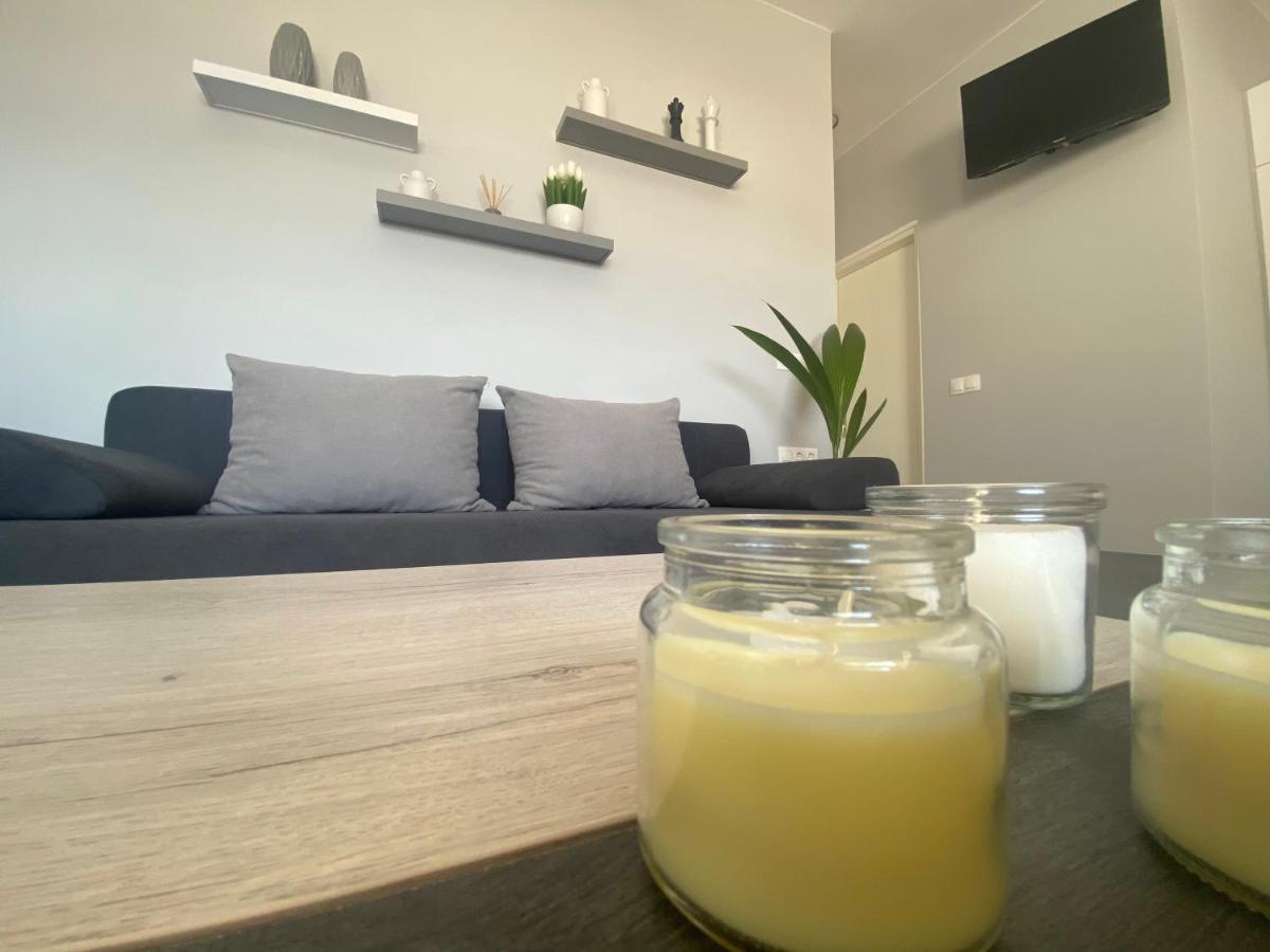 Camelia Luxury *