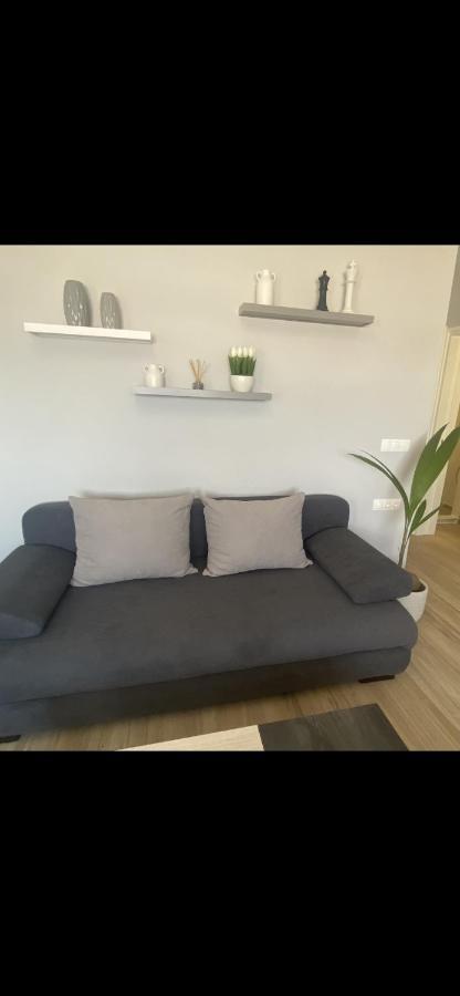 Apartment Camelia Luxury *